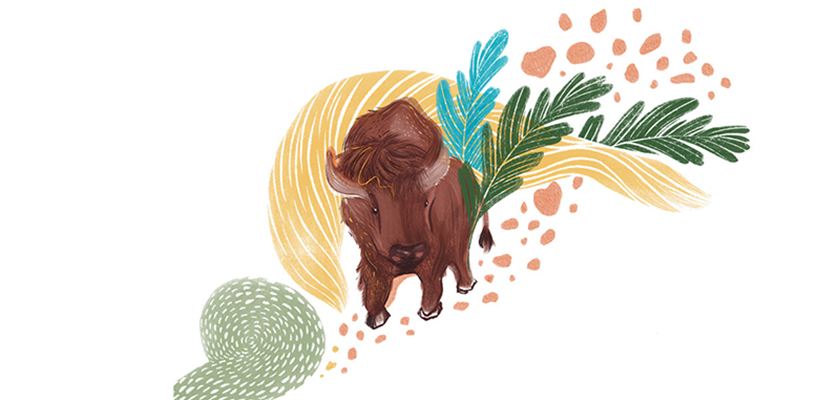 Cartoon image of a buffalo