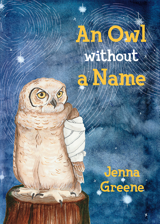 Cover of a book with an owl with a bandaged wing