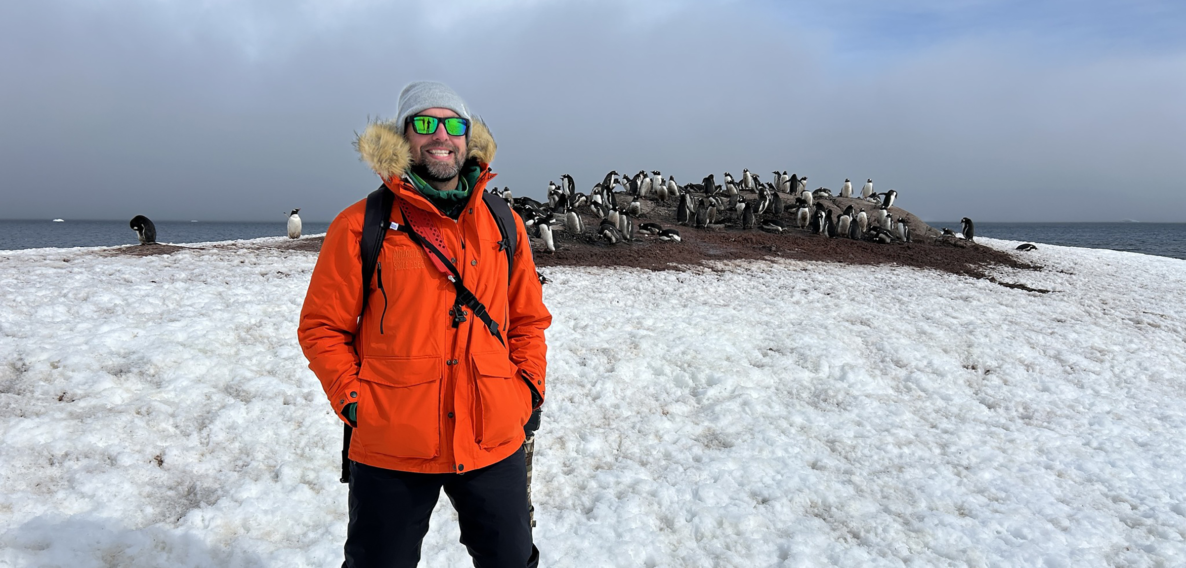 A man stands in front of a group of penguins