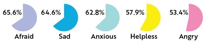 Pie charts of teachers emotions