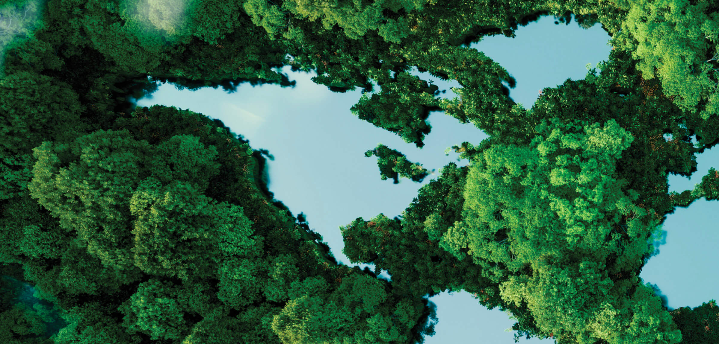 Abstracts view of earth land masses made out of trees and ponds