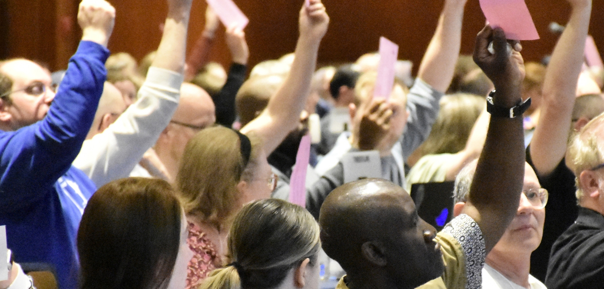 Attendees at this year's ARA vote on a resolution