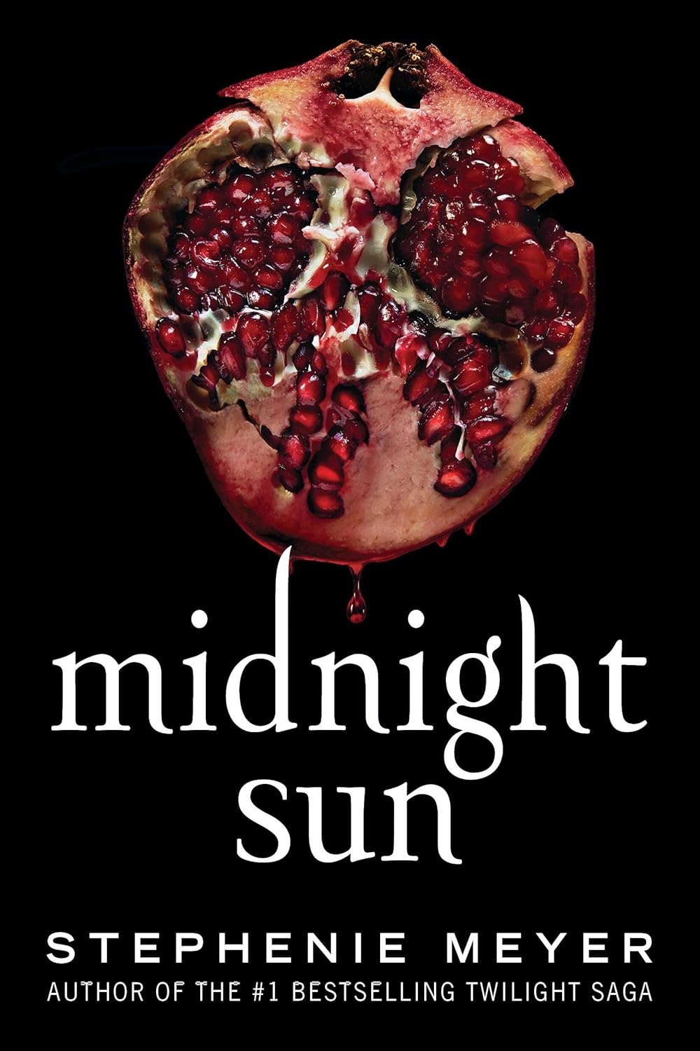Midnight Sun bookcover