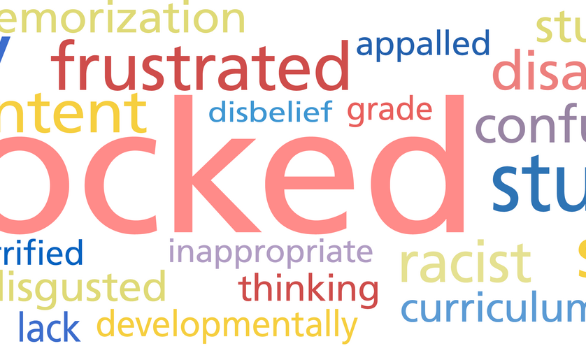 wordle of words reacting to changes in the k-6 curriculum