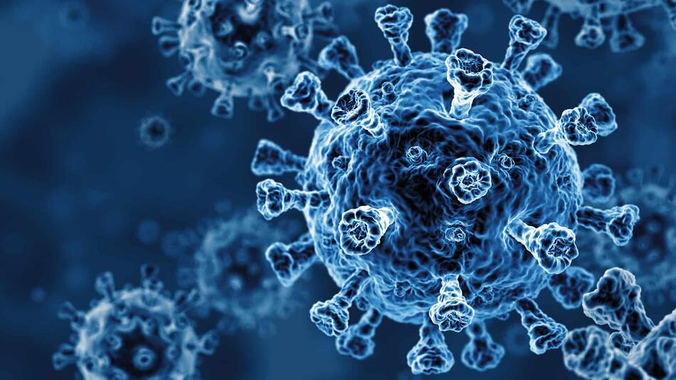 Microscopic image of a virus