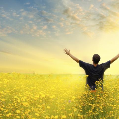 Man standing with his arms raised in a yellow field