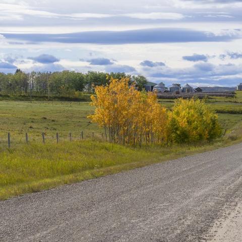 Alberta prairie landscape from a gravel road