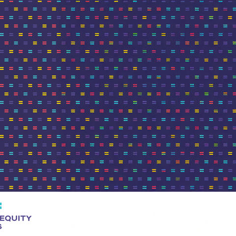 Purple background with multicolour equals signs in a pattern. Below on a white background is purple text "DENs Diversity Equity Networks"