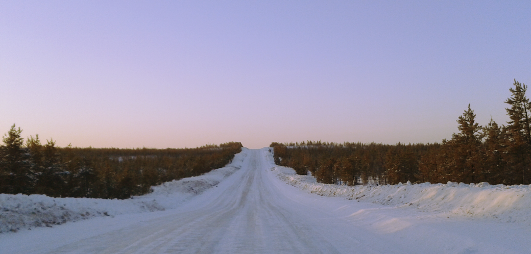 A winter road surrounded by trees. A purple-pink sky is above the snow covered road.