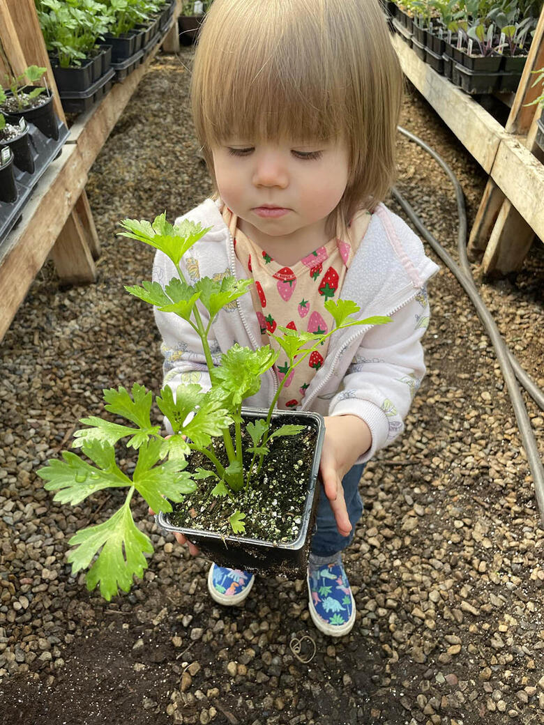 Young child holding a plant