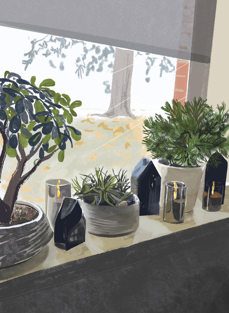 Plants on a window ledge illustration