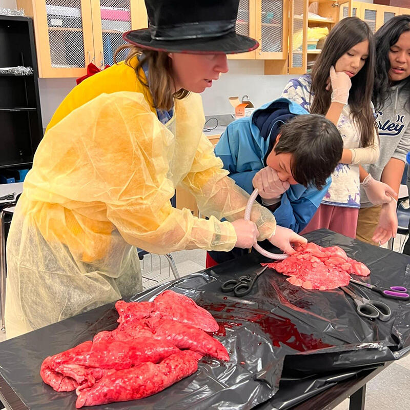 A teacher feeds a tube through a dissected pig lung while a student blows into it