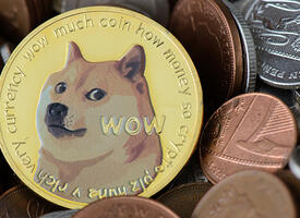 Coins with an image of a dog