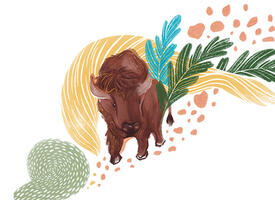 Cartoon image of a buffalo