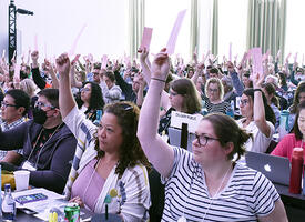 Delegates vote on a resolution at the ARA