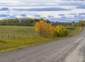 Alberta prairie landscape from a gravel road