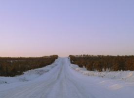 A winter road surrounded by trees. A purple-pink sky is above the snow covered road.