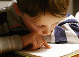 Young boy reads a book
