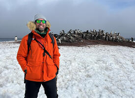 A man stands in front of a group of penguins