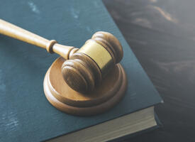 A gavel resting on a book