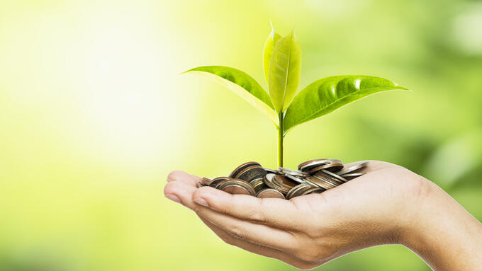 Hand holding coins with a sapling sprouting from them.
