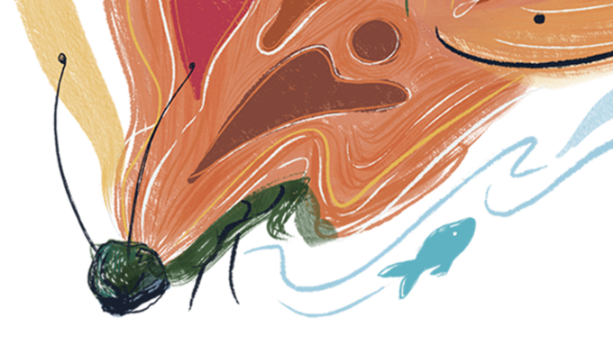 Cartoon image of a butterfly