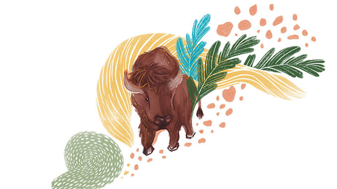 Cartoon image of a buffalo