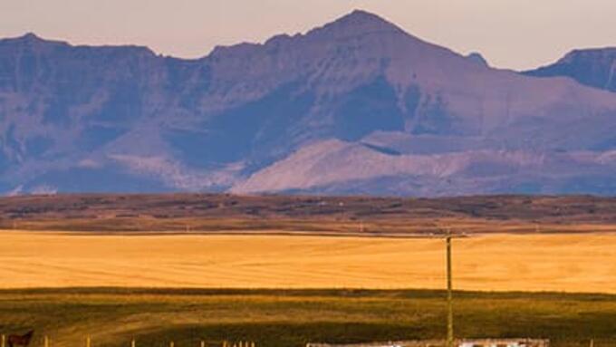 Alberta prairies fields backed by a mountain range