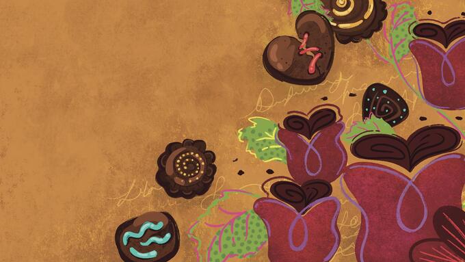 Illustration of cranberry coloured flowers