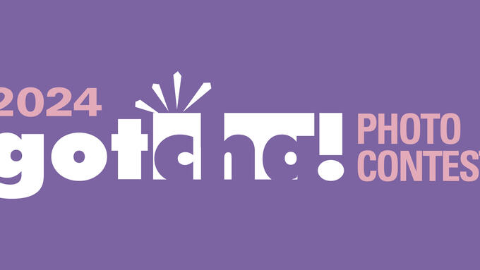 2024 gotcha photo contest