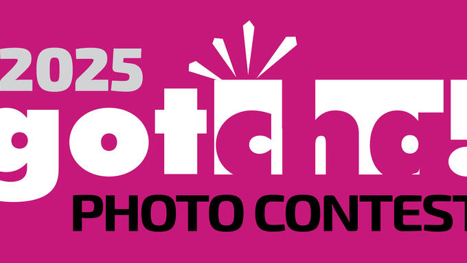 Gotcha photo contest graphic