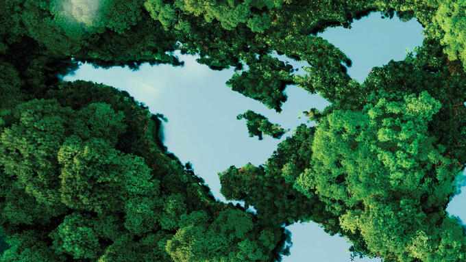 Abstracts view of earth land masses made out of trees and ponds